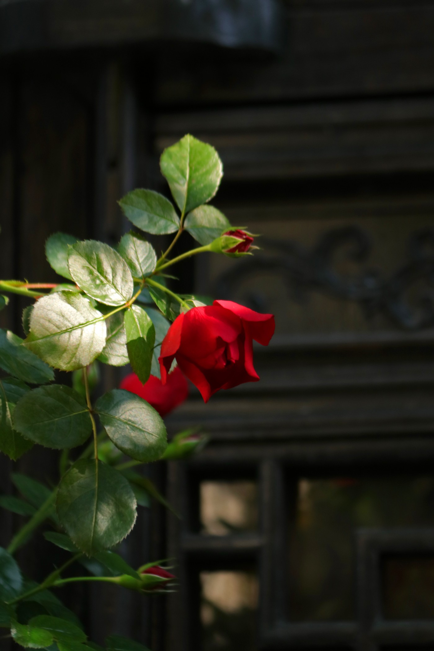 IMG_5913.JPG