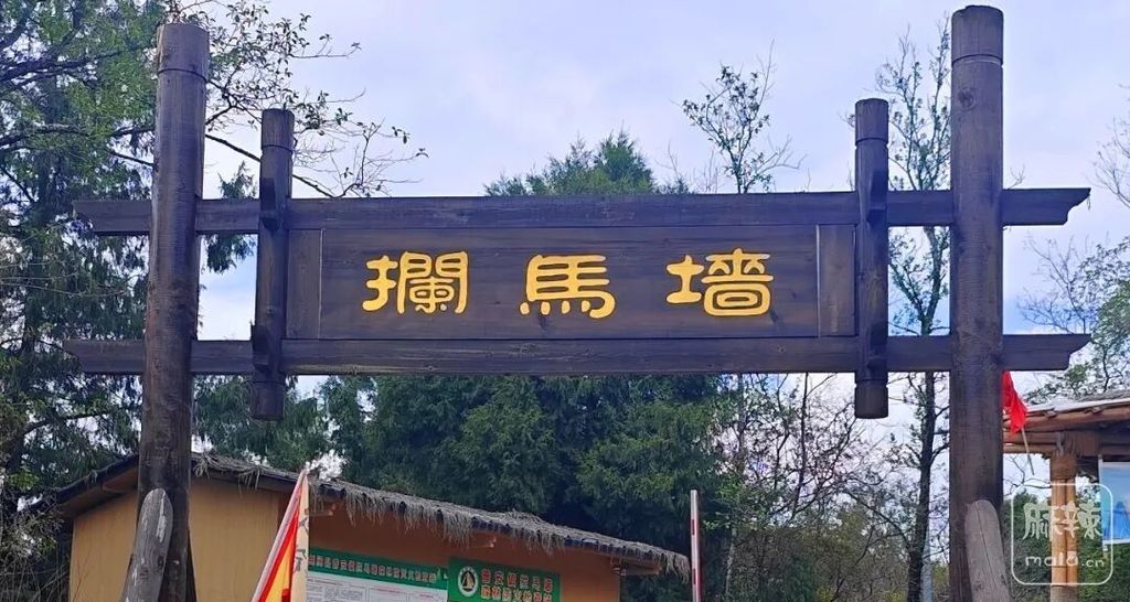 7d528d9be3889d70fcd6e468389b2d25.png