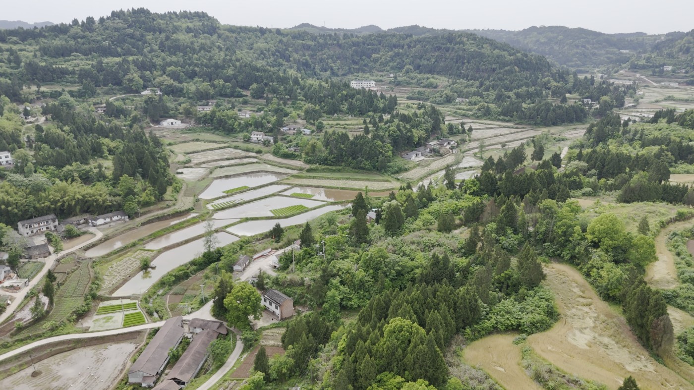 DJI_20260502160855_0004_D[00-01-51][20260503-001227841].jpg
