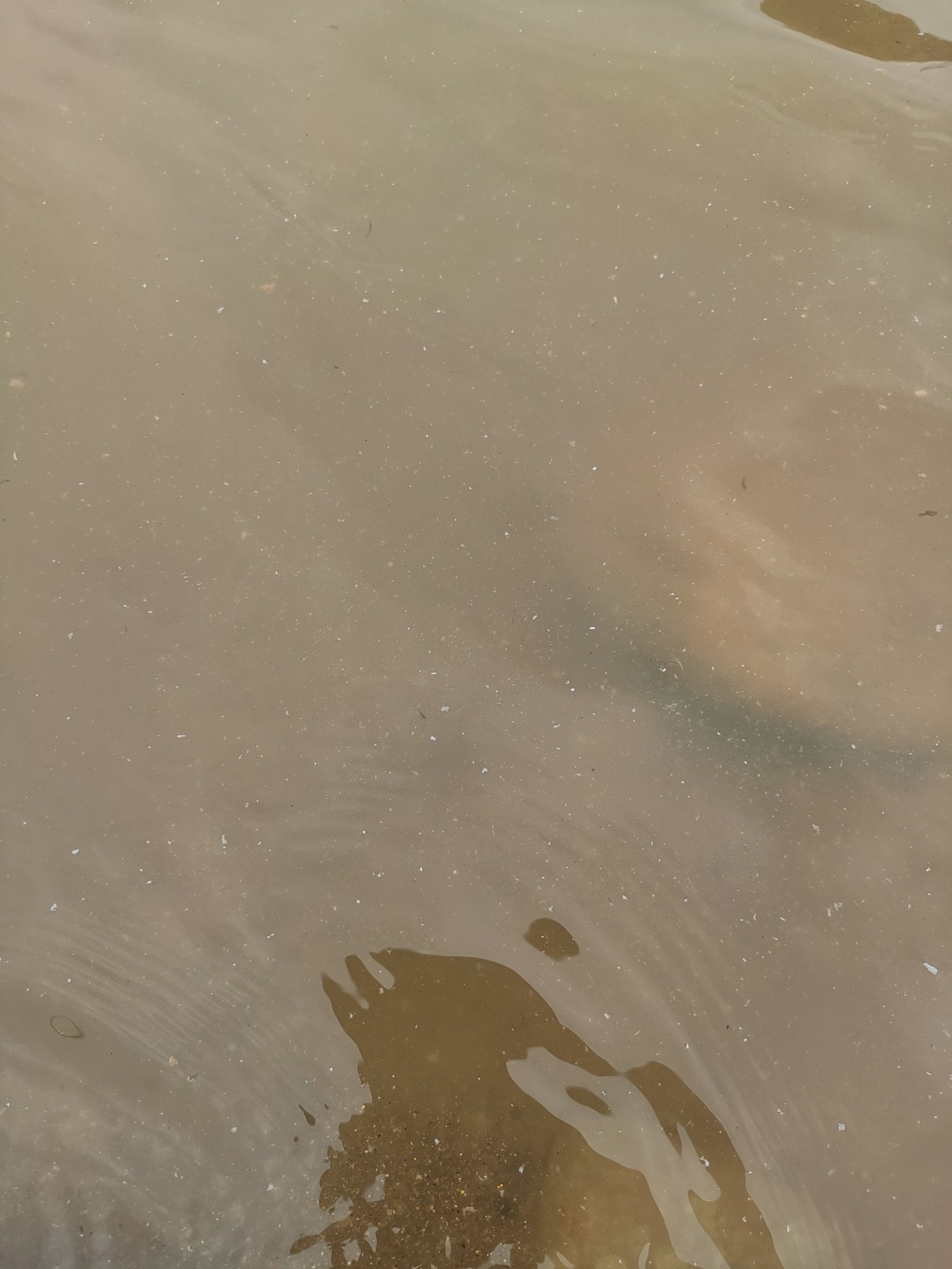 ΢��ͼƬ_20260503082647_4_5.jpg