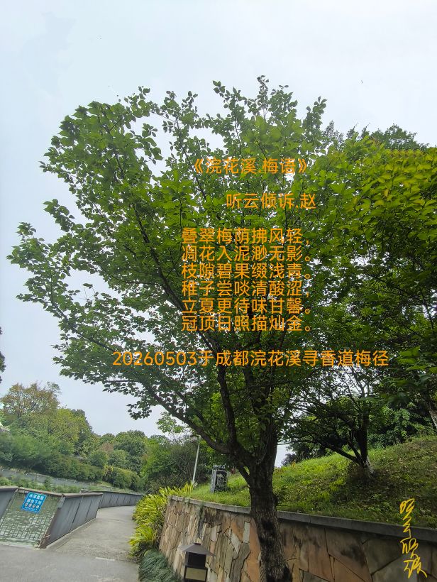 20260503154217front2_0_7607032_FobI0S2E-CnnpzDdc_nYsBhxfueX.jpg