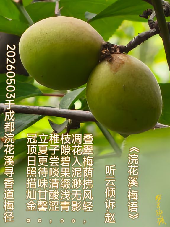 20260503154217front2_0_7607032_Fmu17aSZ0TY7UL6Q6Y0hRBe3jczc.jpg