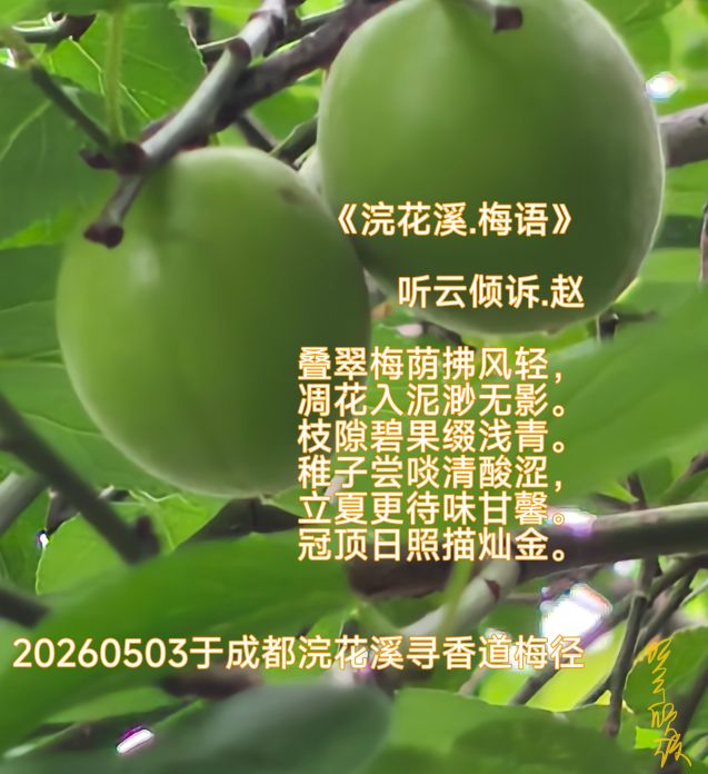20260503154217front2_0_7607032_Fu0pMqBgTT4BGsYA64vVOpRTpSyQ.jpg