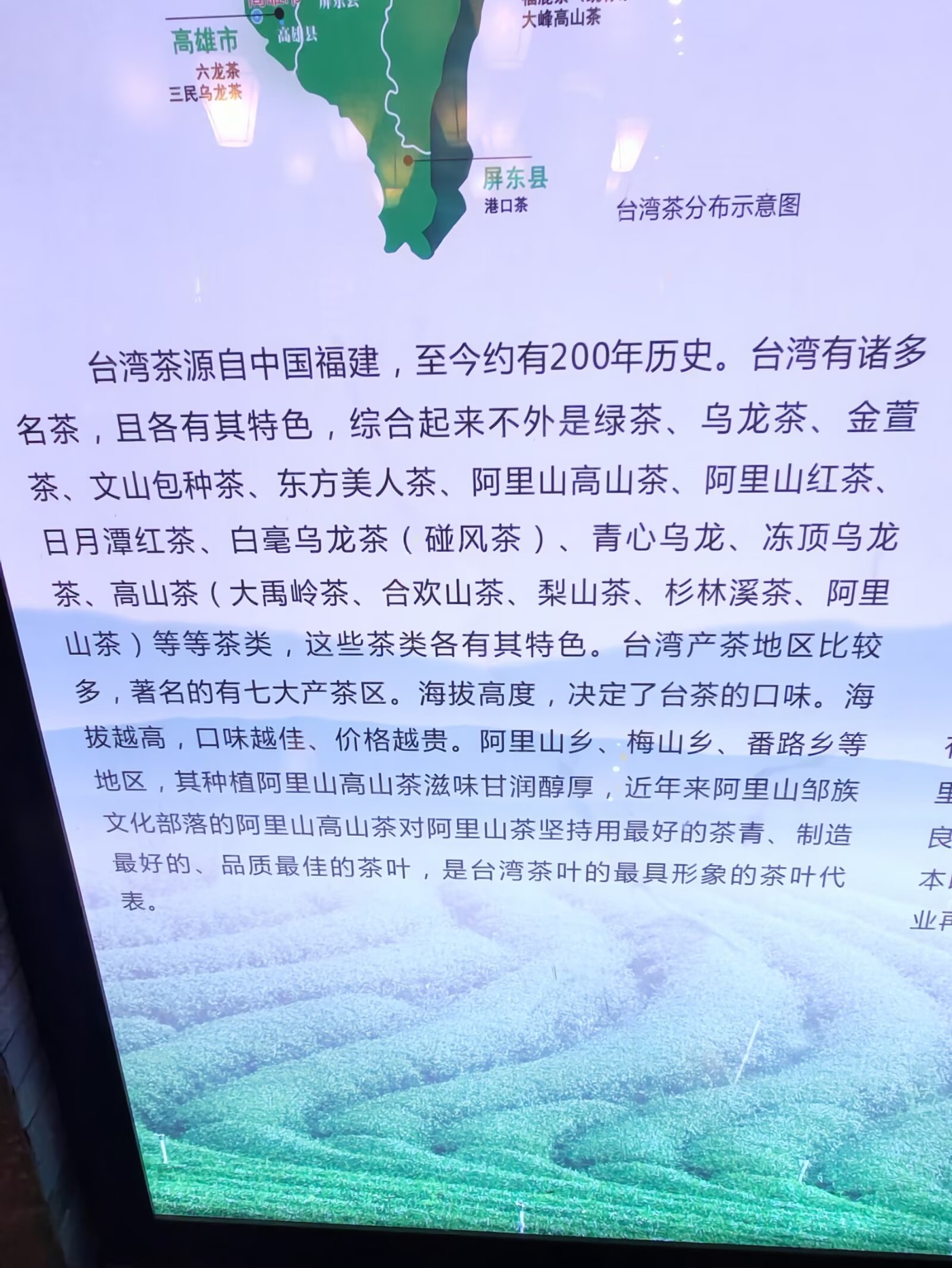 81.jpg