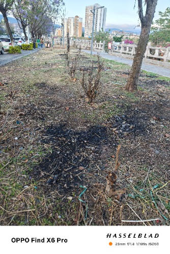 IMG20260504192537.jpg
