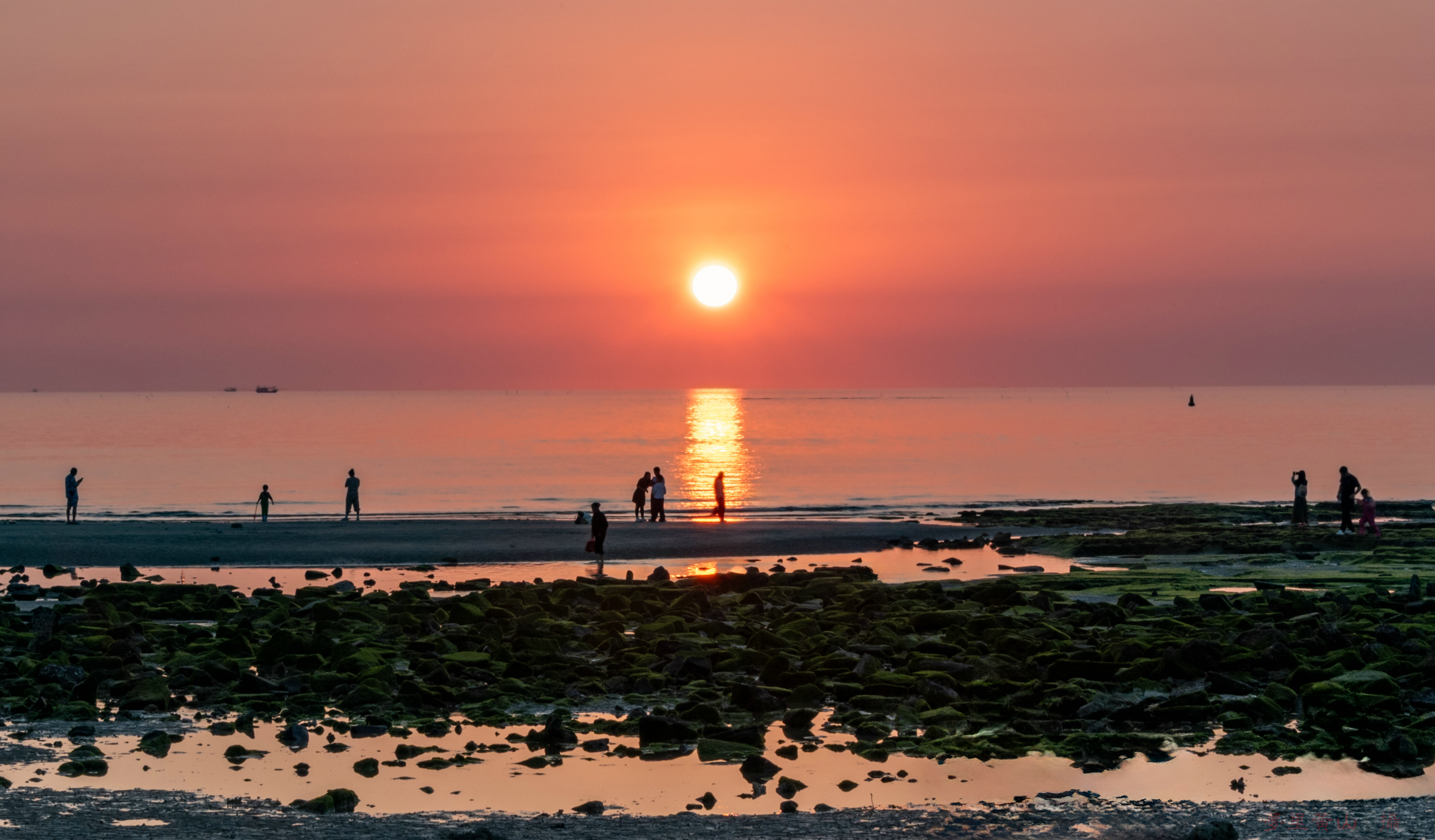 _DSC3231_����.jpg