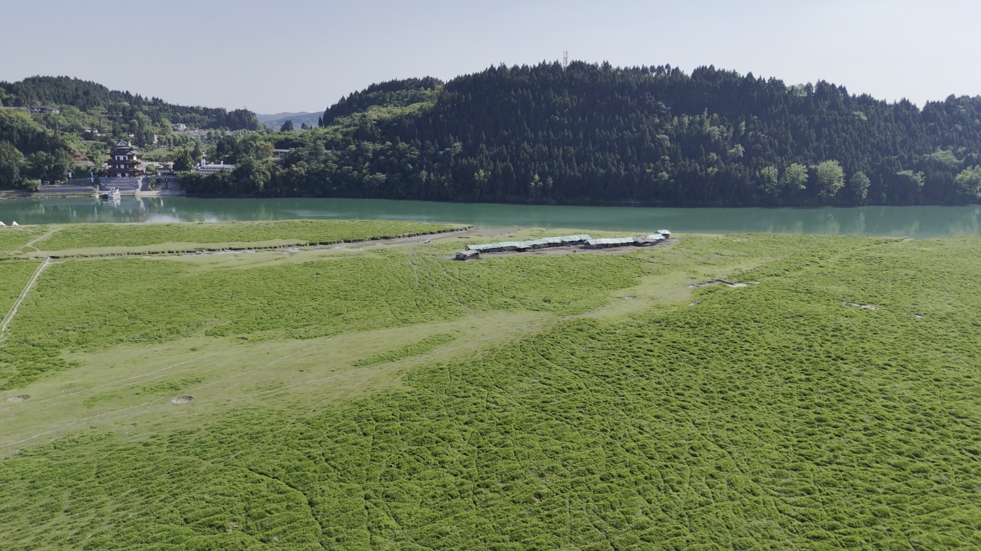 DJI_20260505162643_0008_D[00-01-27][20260505-23473332].jpg