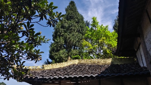 IMG_20260504_101809.jpg