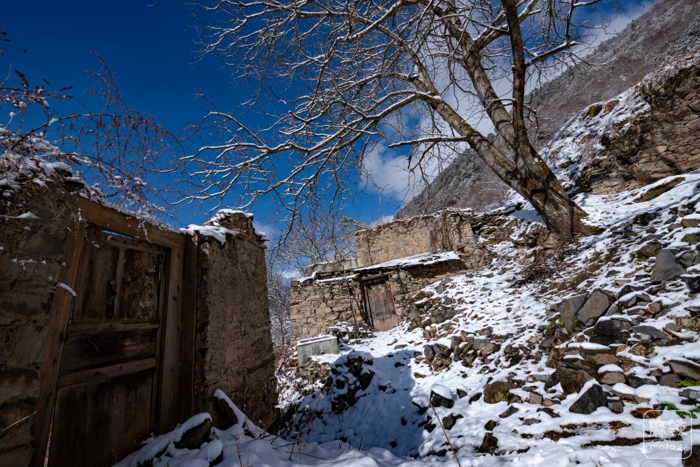 DSC_5851.jpg