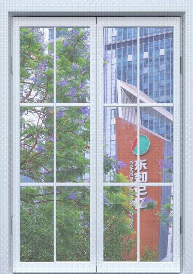 image_5.jpg