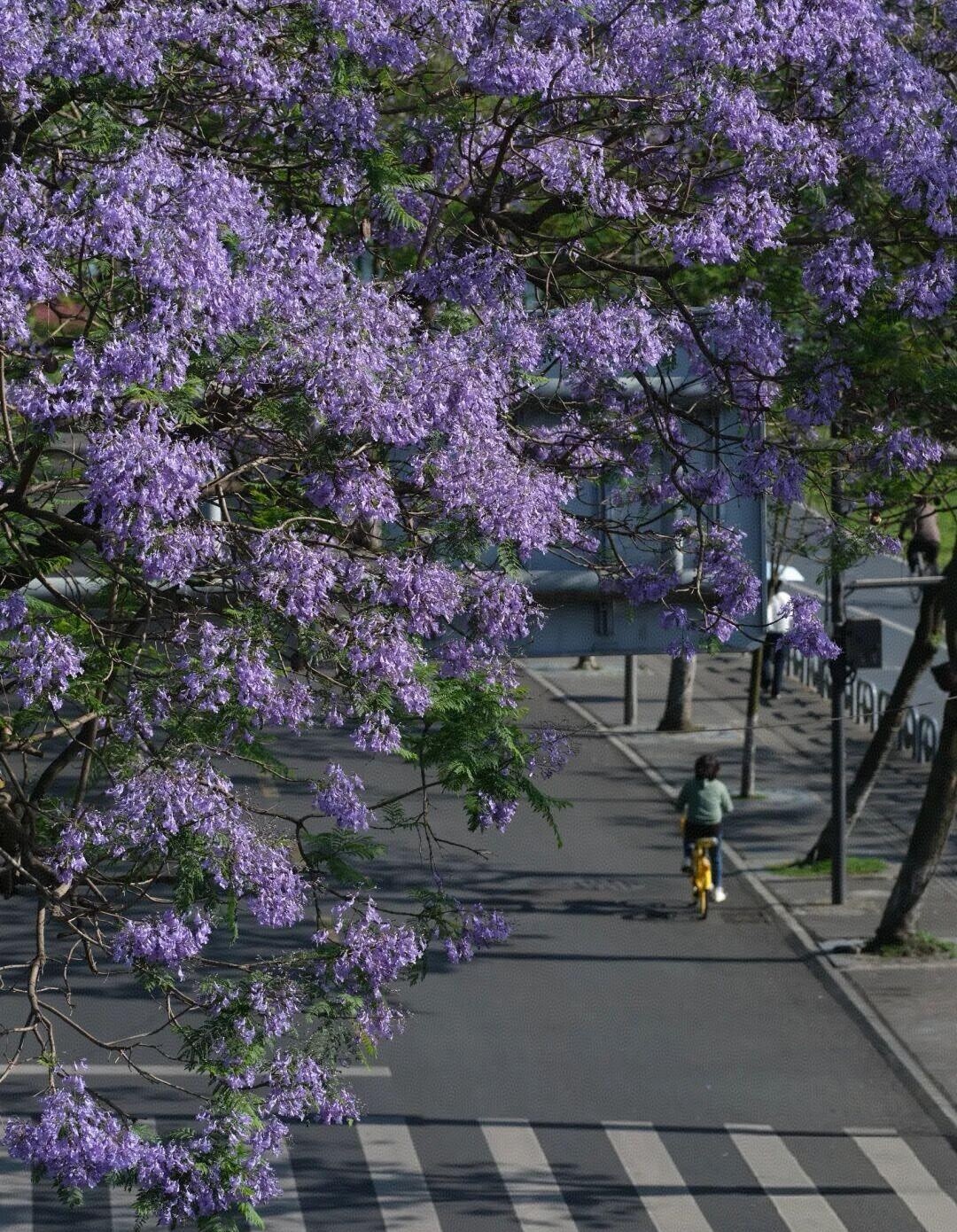 image_9.jpg