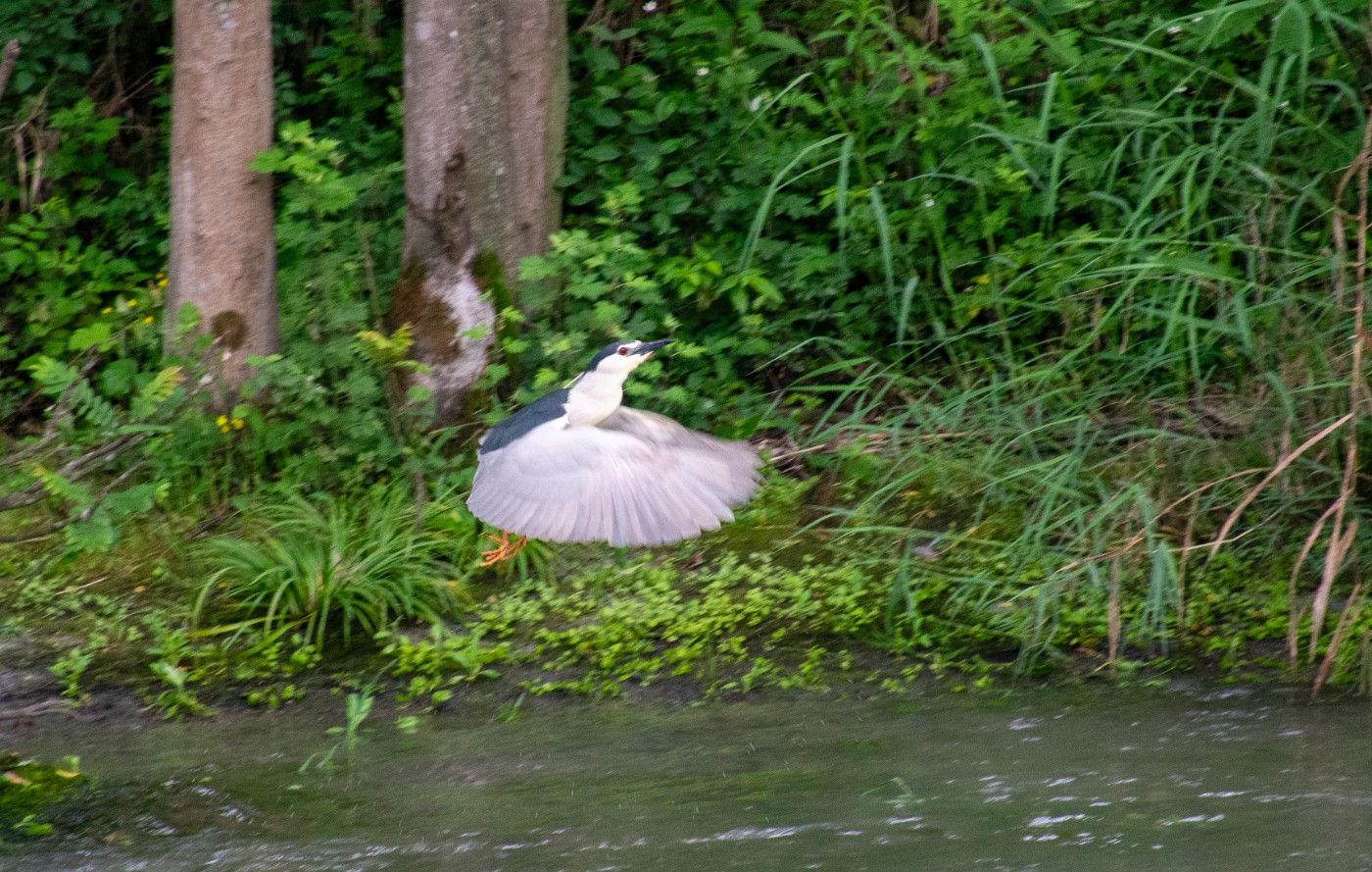_DSC4369.jpg