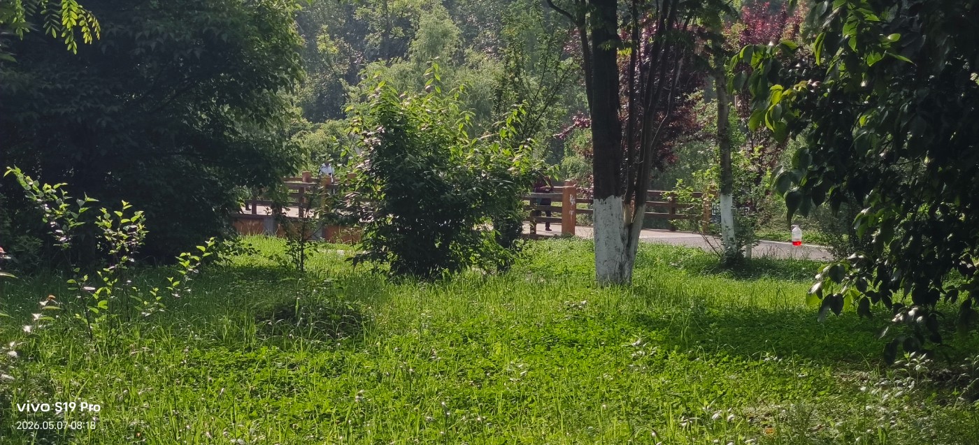 ΢��ͼƬ_20260507085324.jpg