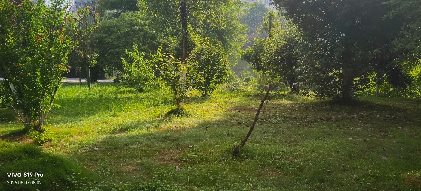 ΢��ͼƬ_20260507085408.jpg