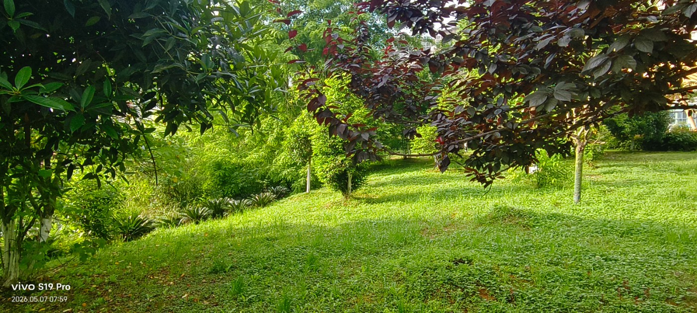 ΢��ͼƬ_20260507085441.jpg