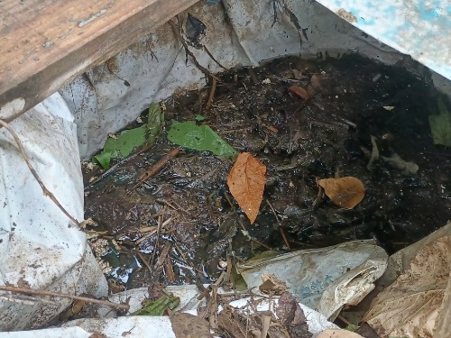 Image_1778115254347_419.jpg