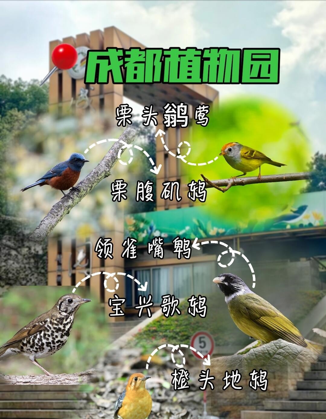 image_3.jpg