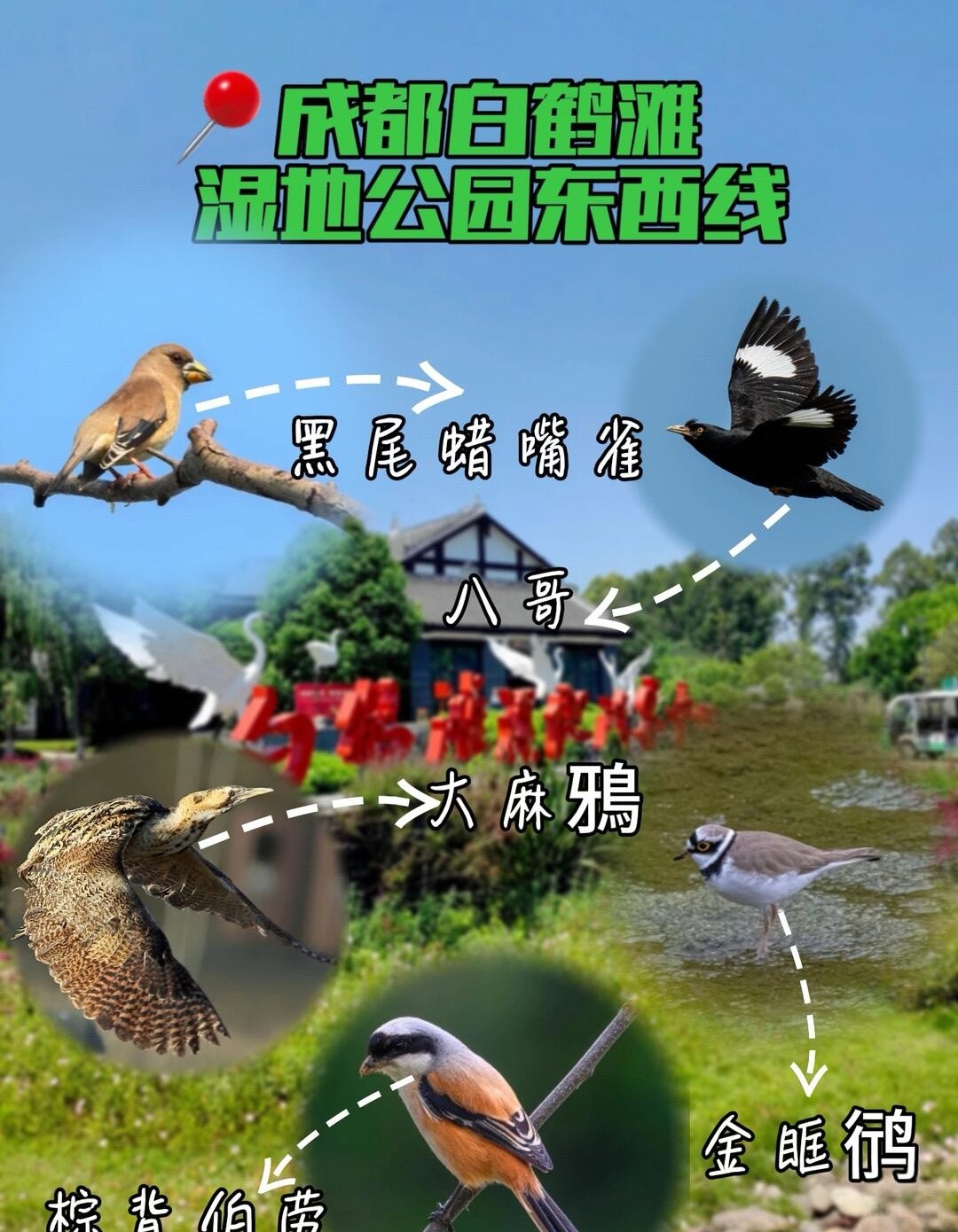 image_7.jpg