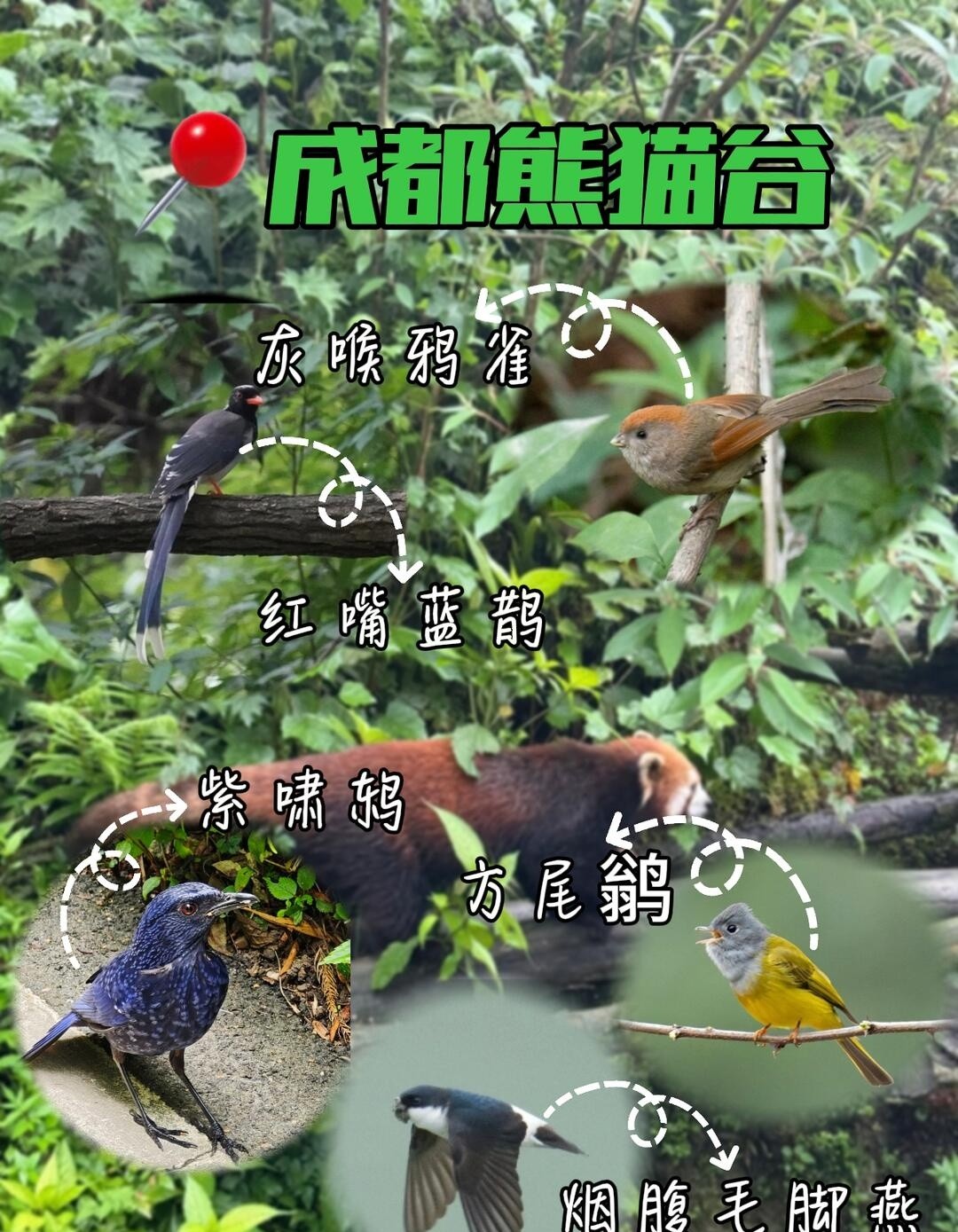 image_6.jpg