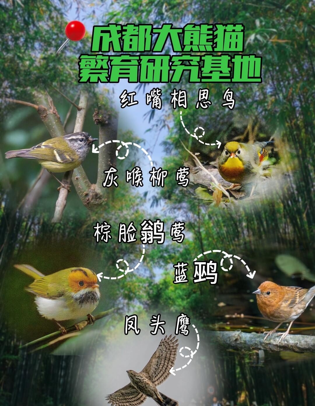 image_4.jpg