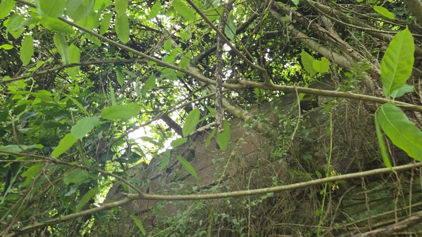 ΢��ͼƬ_20260507173330_1491_348.jpg