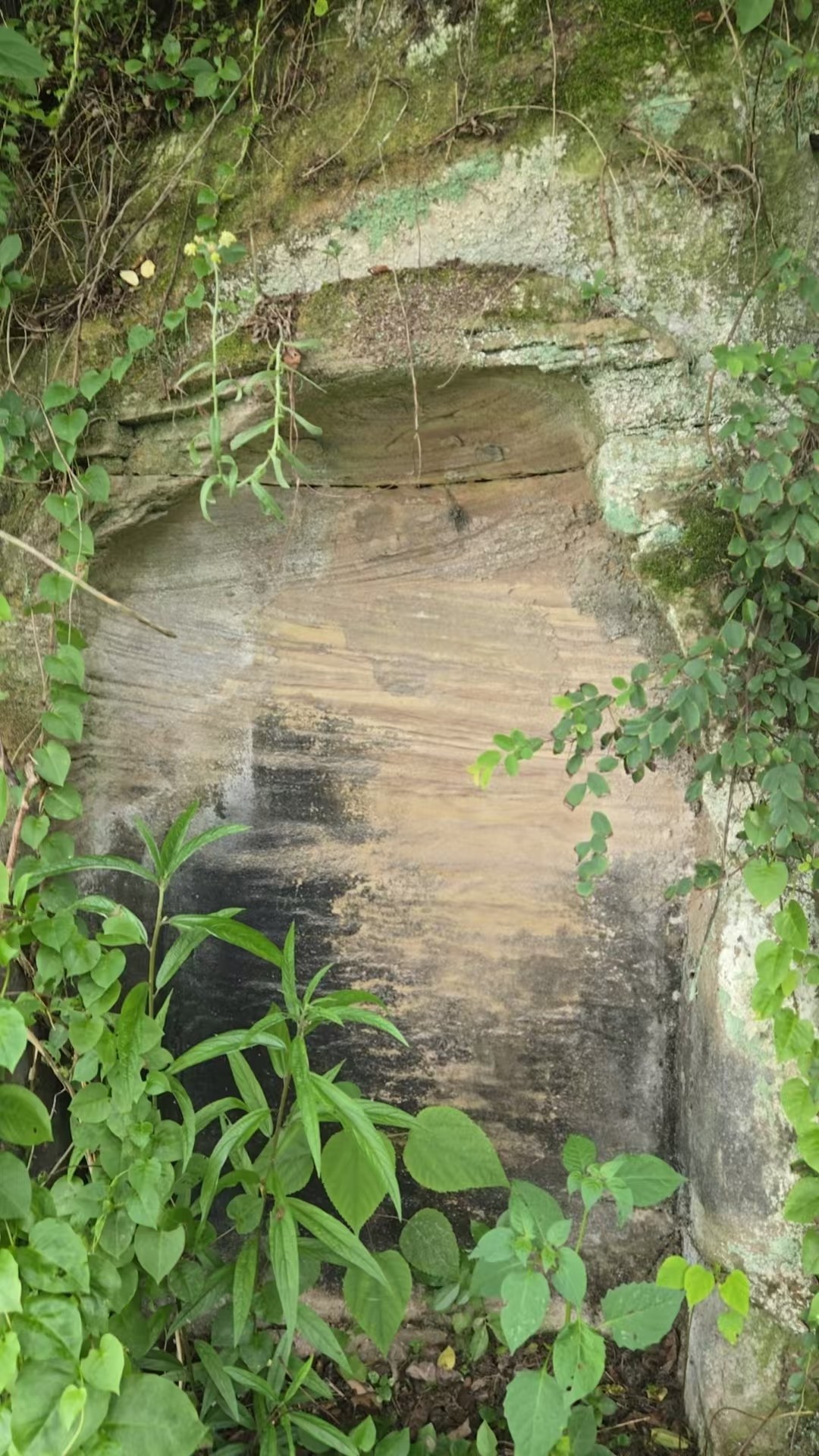 ΢��ͼƬ_20260507173827_1510_348.jpg