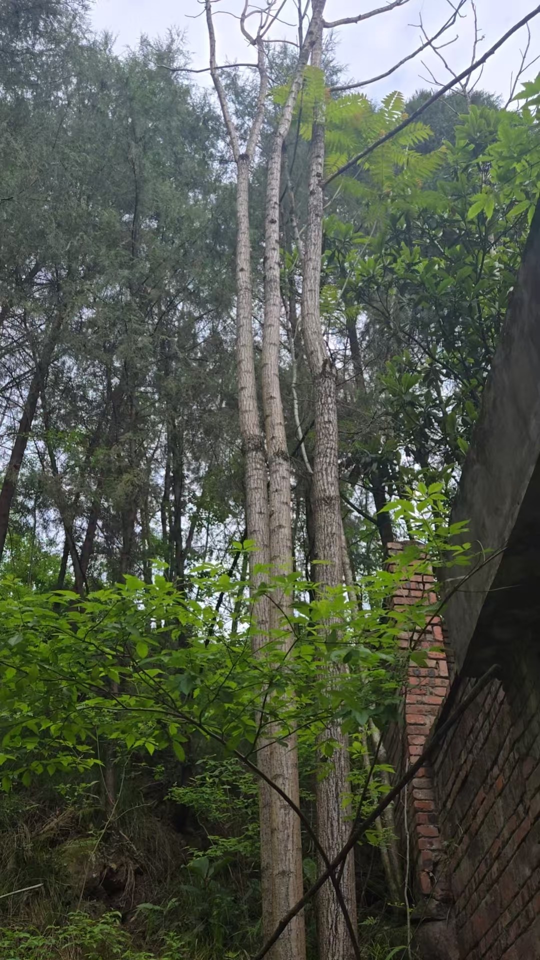 ΢��ͼƬ_20260507175341_1583_348.jpg