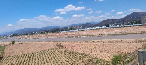 IMG20260505135252.jpg