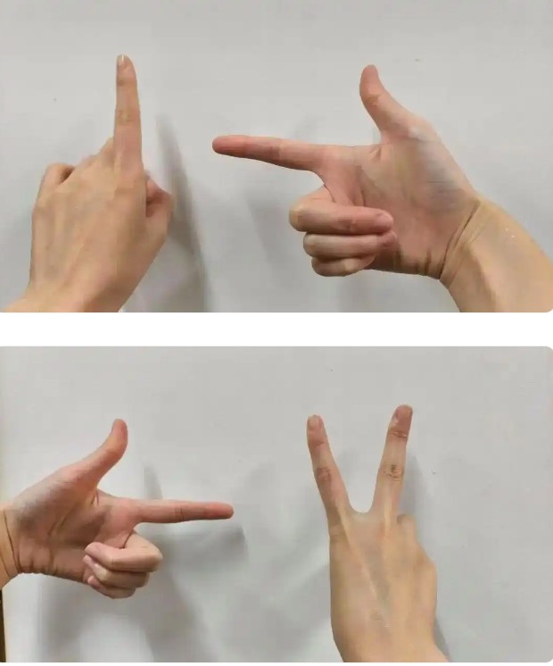 5.png