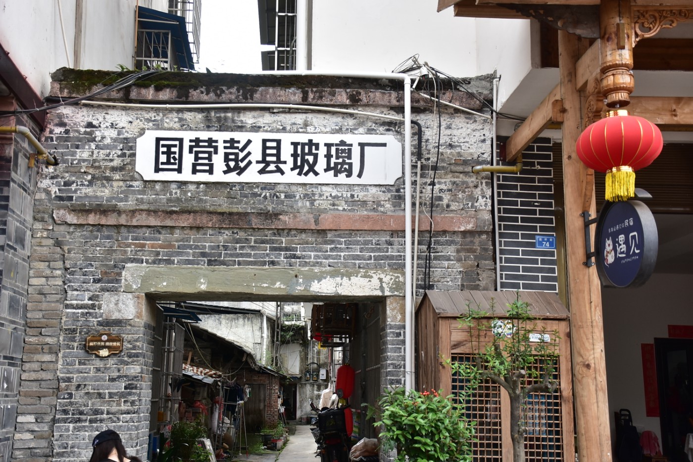 XYL_5018.JPG