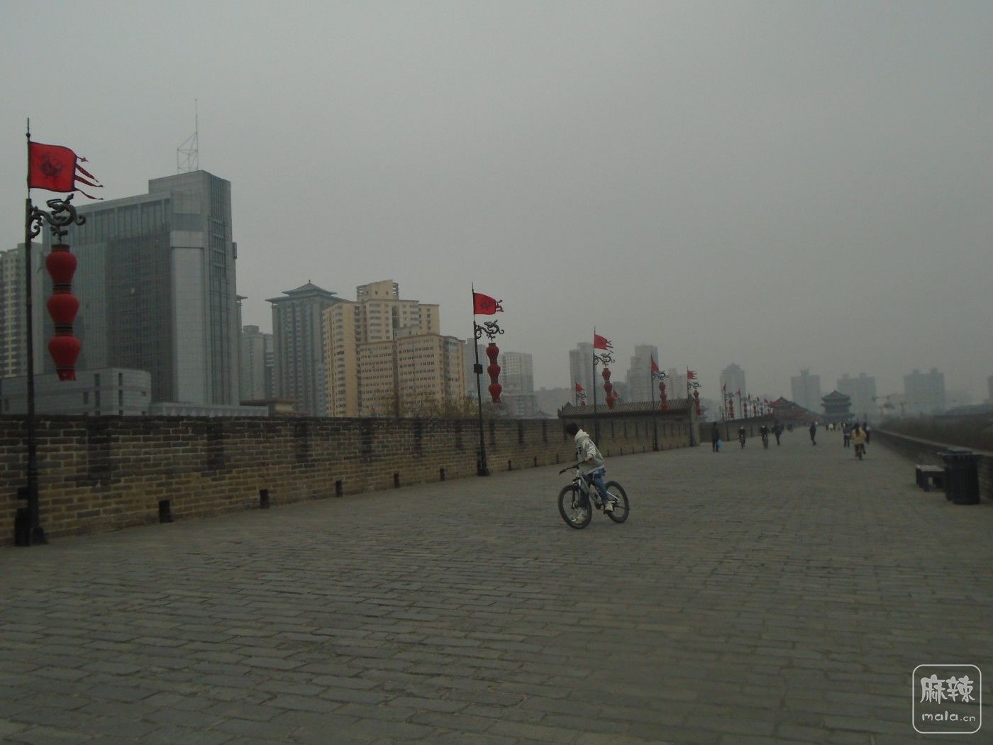 DSC03239.JPG