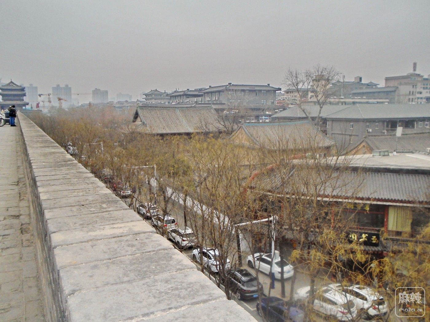 DSC03240.JPG