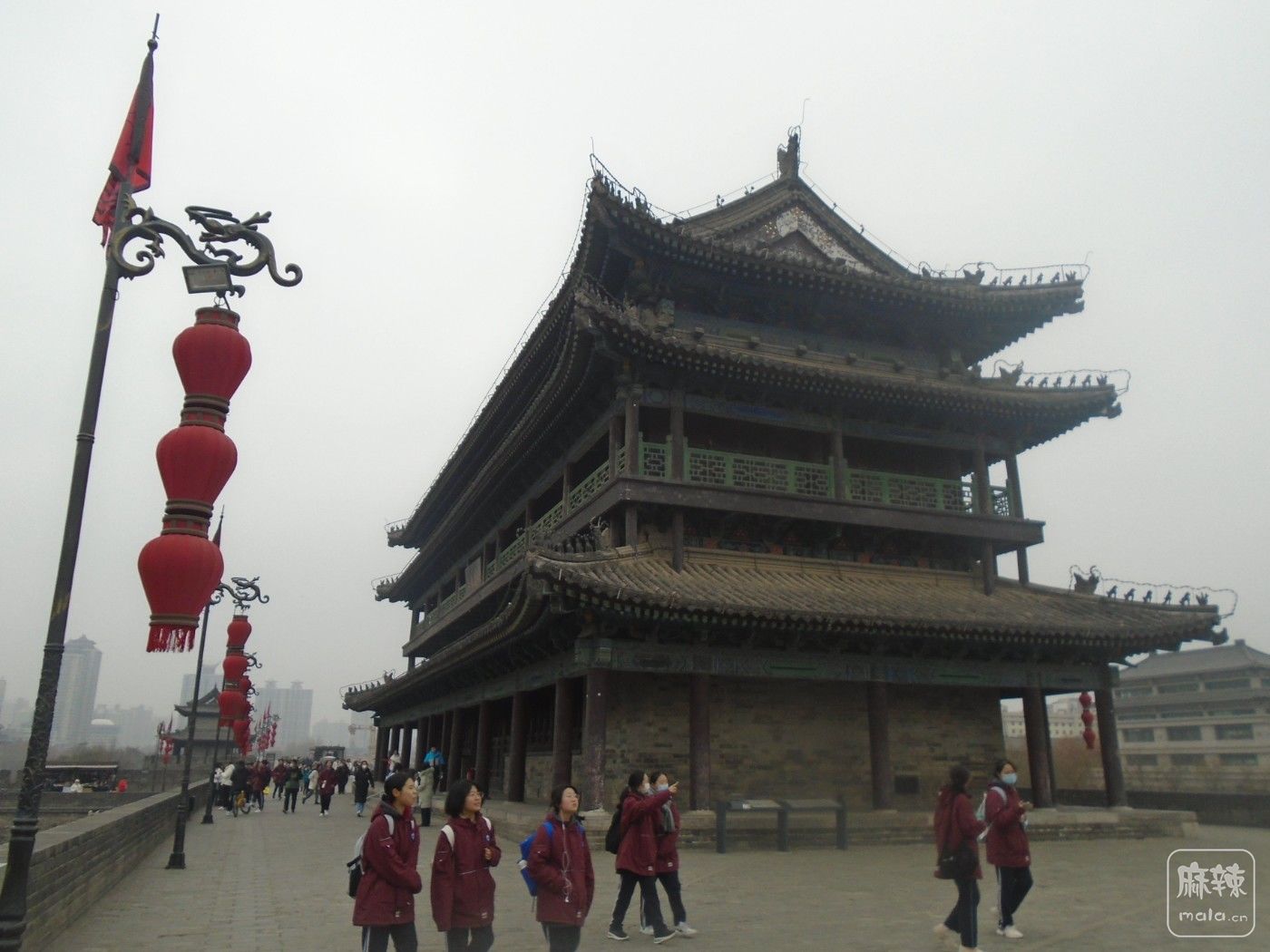 DSC03243.JPG