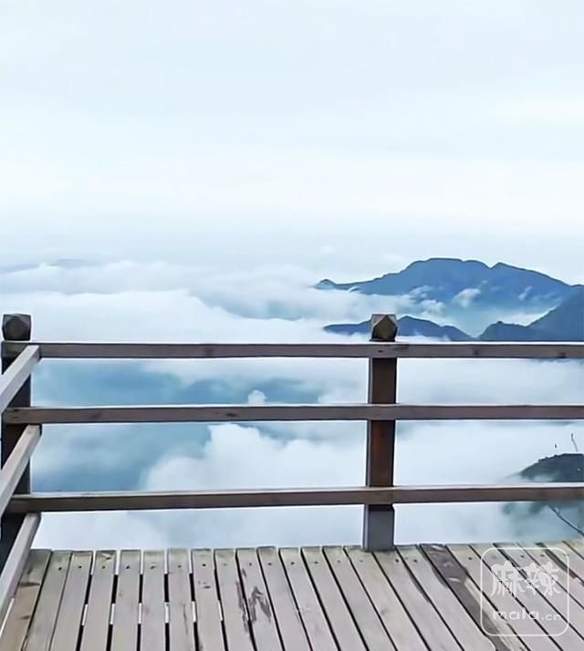 1707ee24070c45619501ef817b657fb4~tplv-tt-origin-web:gif.jpeg