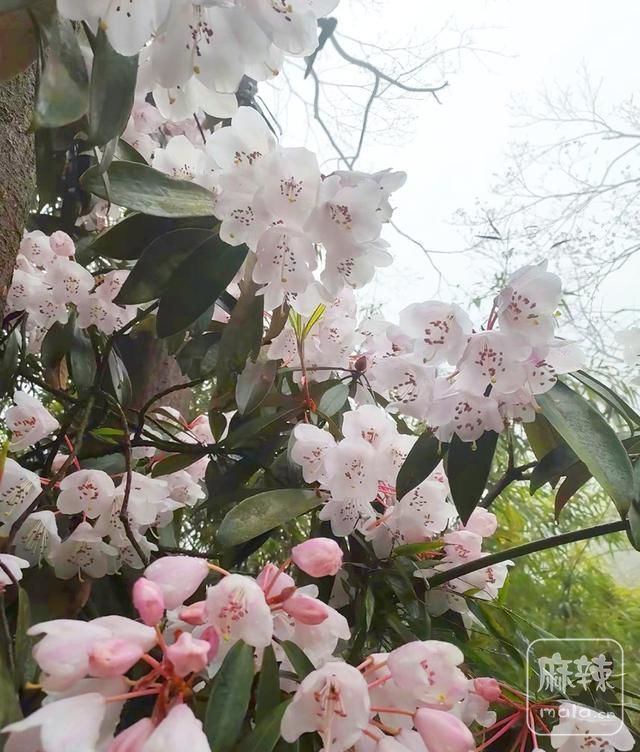 1769e7b6aade4aeab2ebe4a3834153d8~tplv-tt-origin-web:gif.jpeg