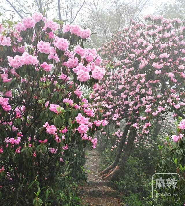6e7ebce10f5b4e849600b2110c25cb1b~tplv-tt-origin-web:gif.jpeg