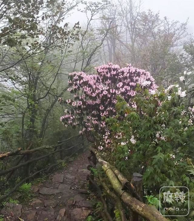 1af3903982b649d885aa2302ac179e2e~tplv-tt-origin-web:gif.jpeg