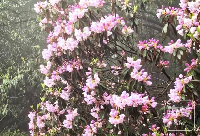 e5c574c75e35467eaa160a40706be549~tplv-tt-origin-web:gif.jpeg