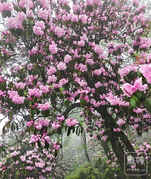 e5b6c9bb5bc3487ab93e2a51beb37e59~tplv-tt-origin-web:gif.jpeg