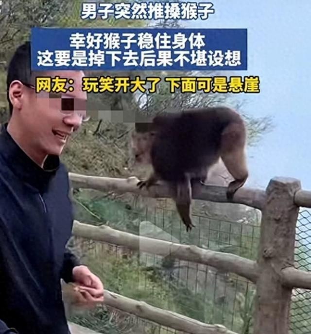 image_3.jpg