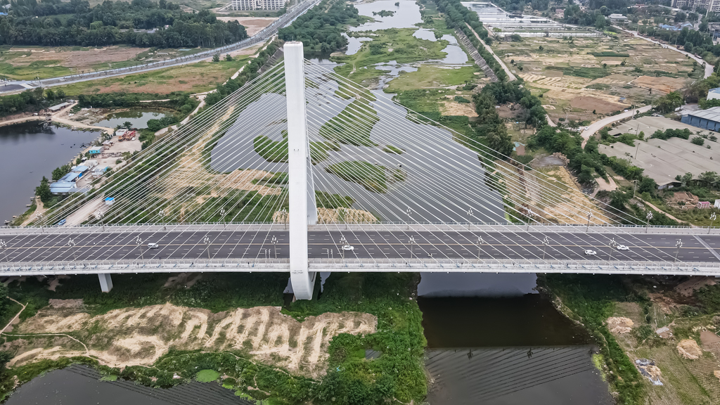 DJI_0599.jpg