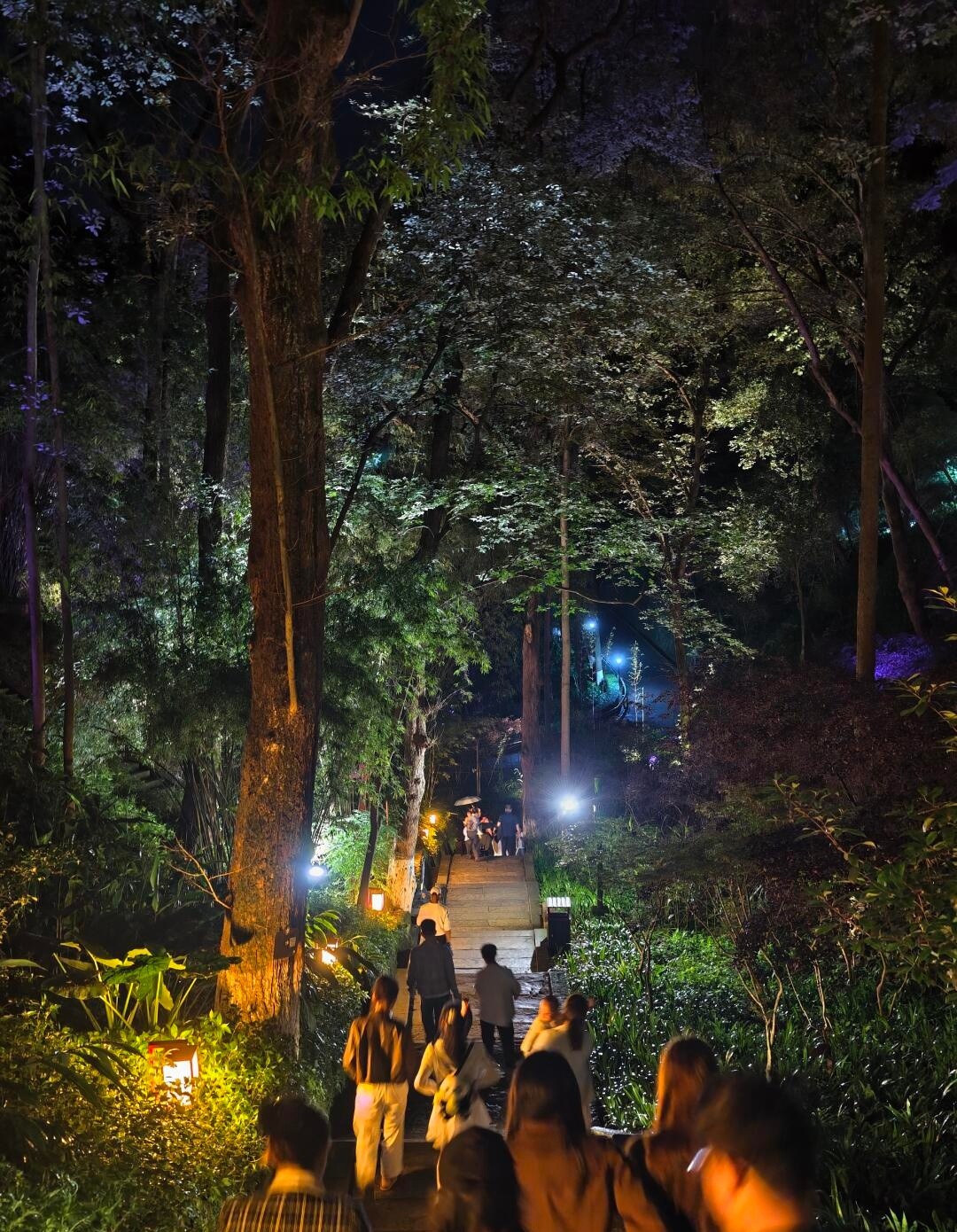 image_3.jpg