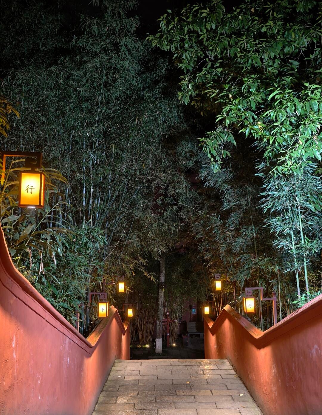 image_4.jpg