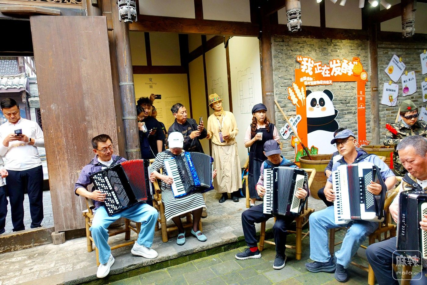 DSC02644.JPG