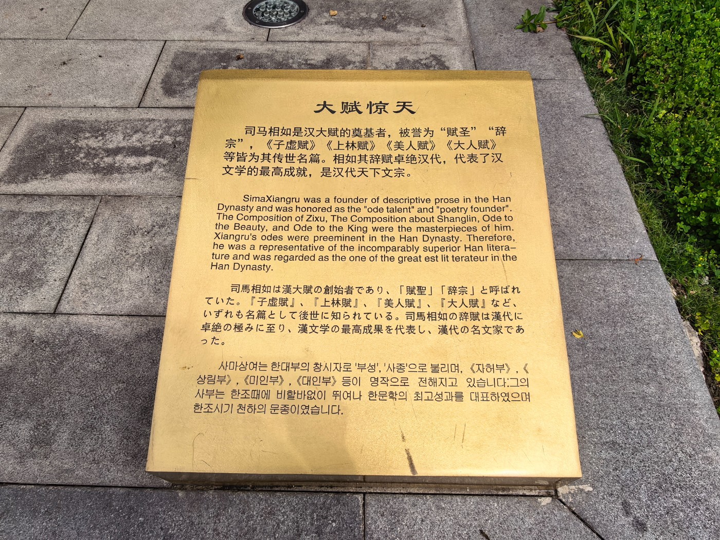 IMG_20260507_113251.jpg