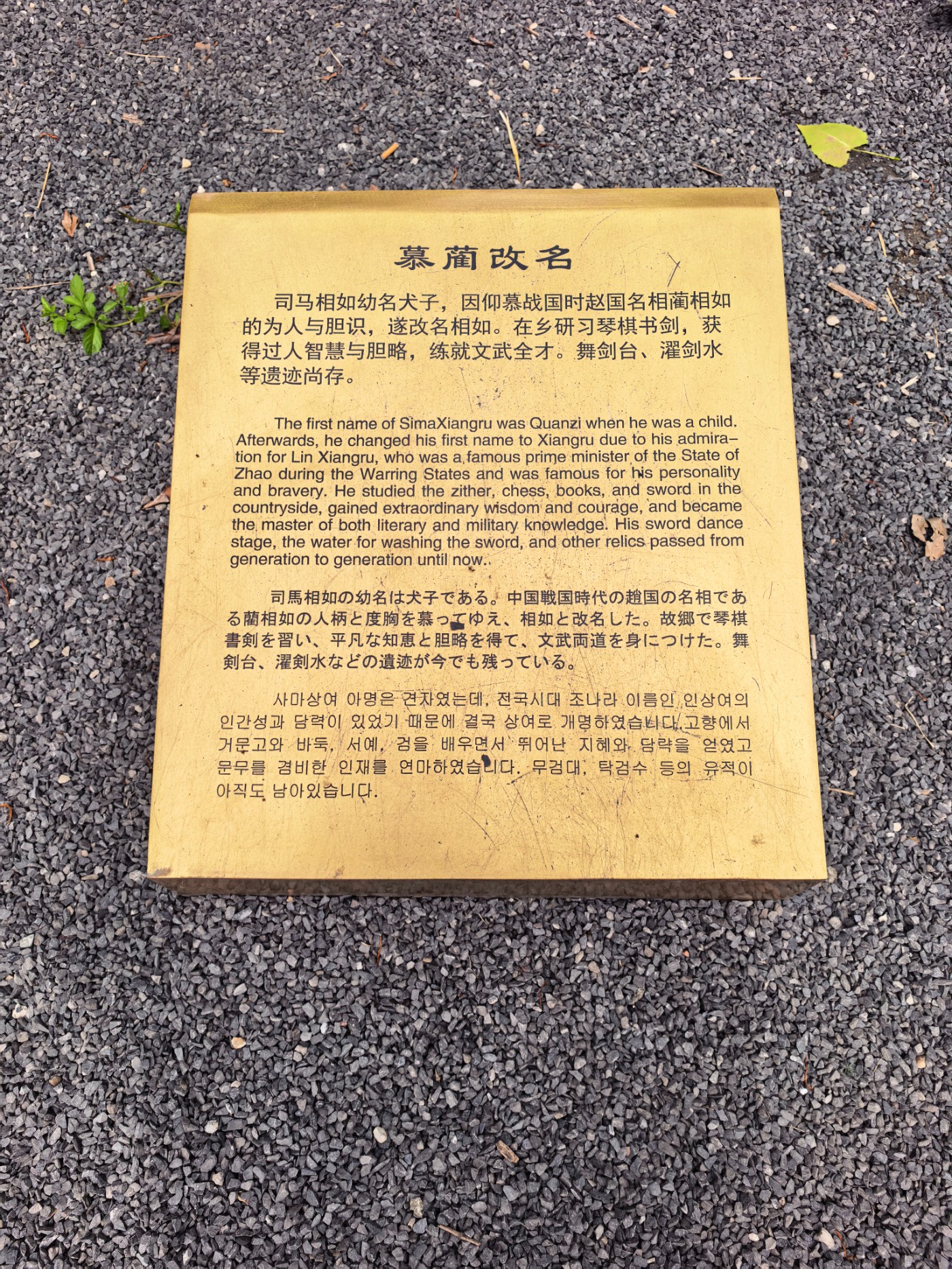 IMG_20260507_113034.jpg