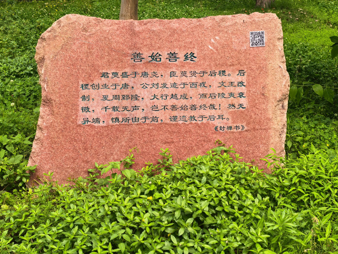 IMG_20260507_113205.jpg