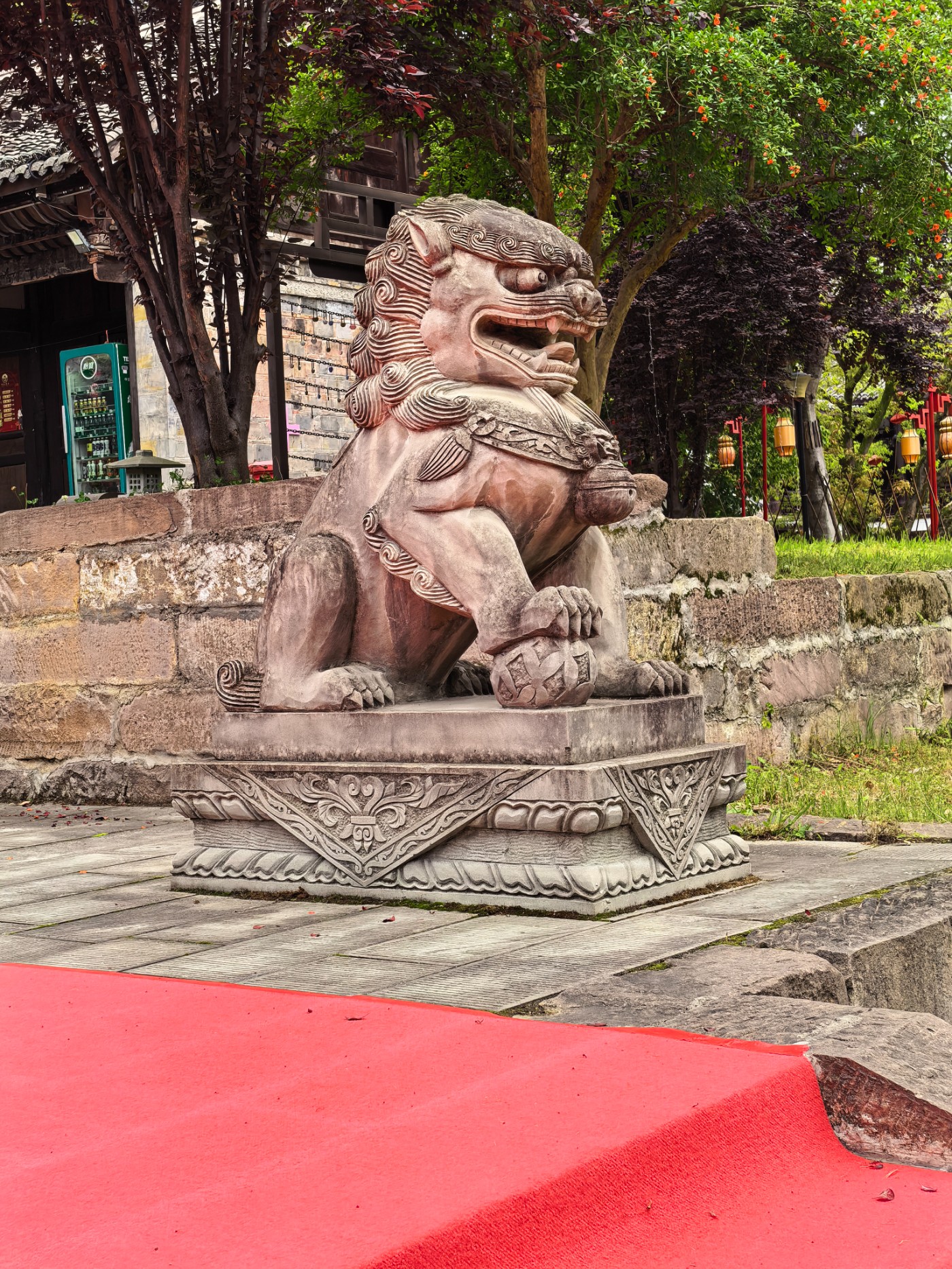 IMG_20260507_121848.jpg
