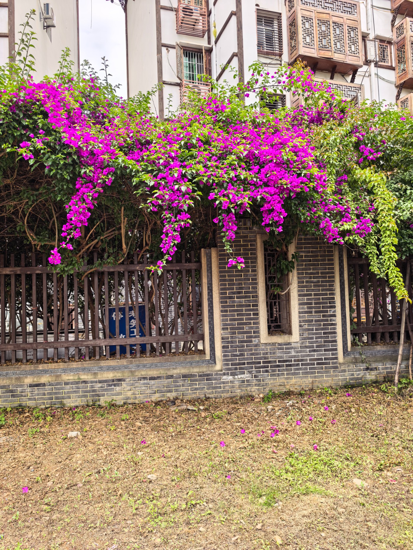 IMG_20260507_125640.jpg