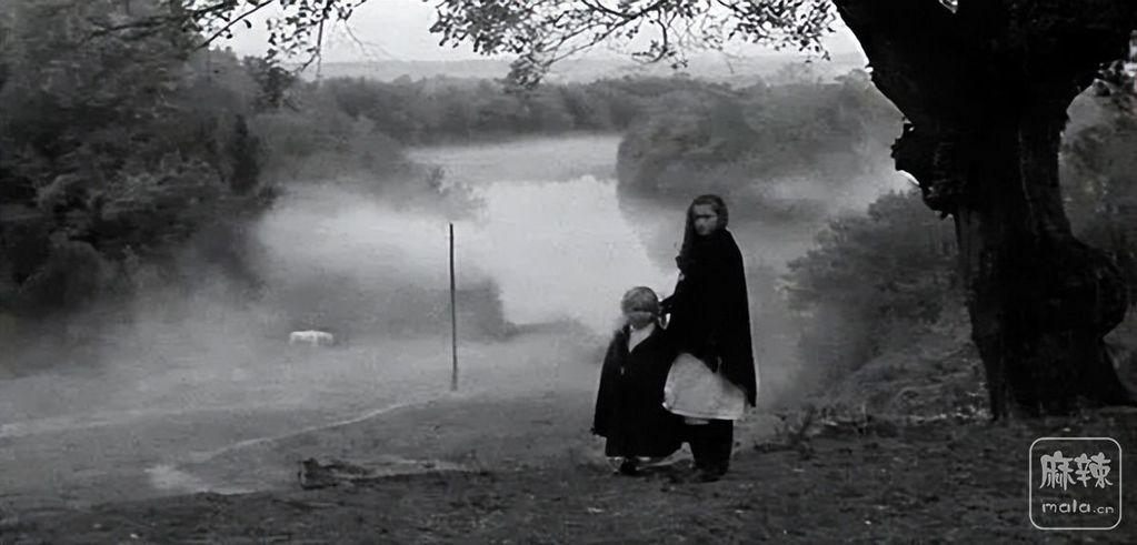 2b92031768554dfb8909a2f09aa7827f~tplv-tt-origin-web:gif.jpeg